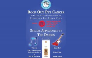 Rock Out Pet Cancer, promotional flyer