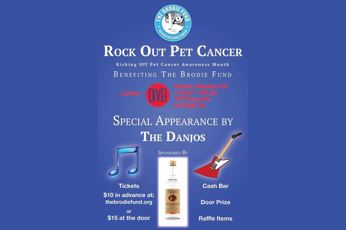 Rock Out Pet Cancer, promotional flyer