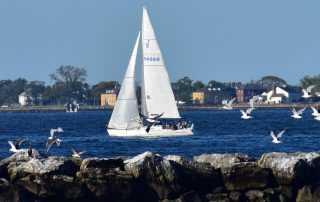 Sail boat on the water