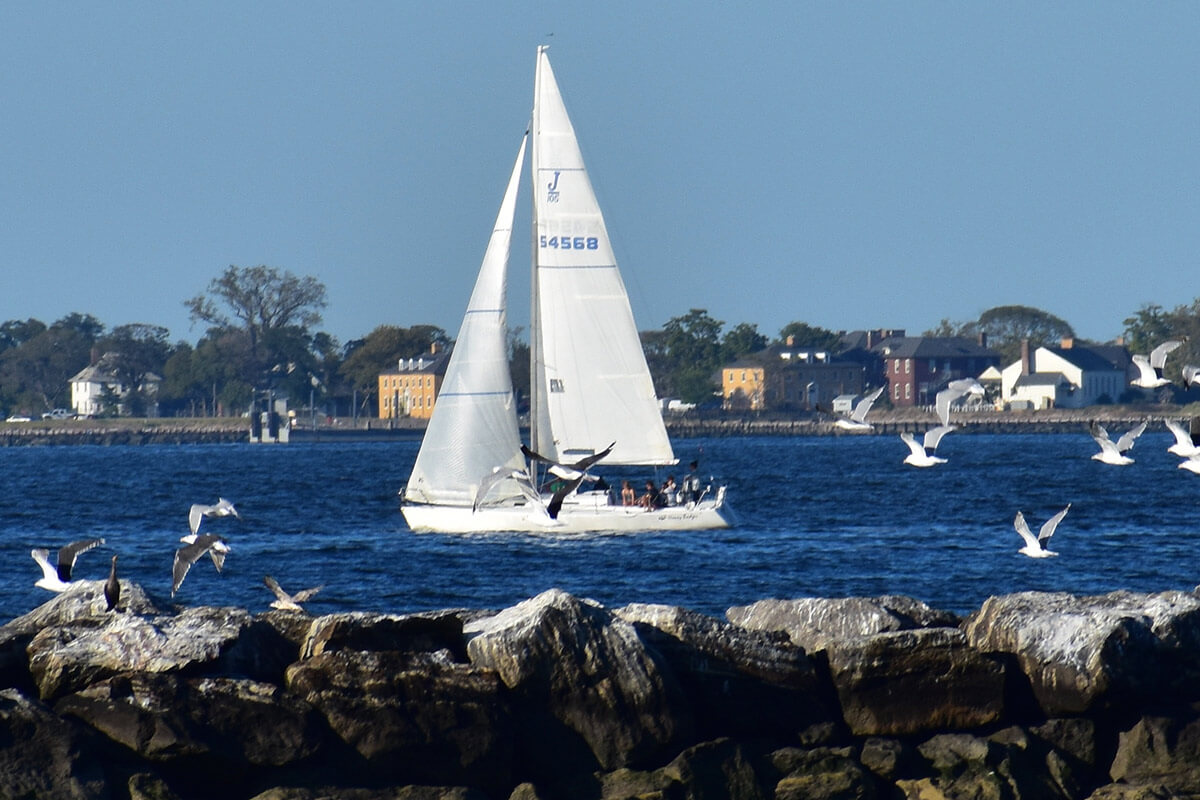 Sail boat on the water