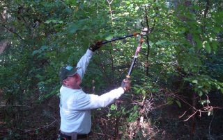 Monmouth County Park volunteer triming tree branches