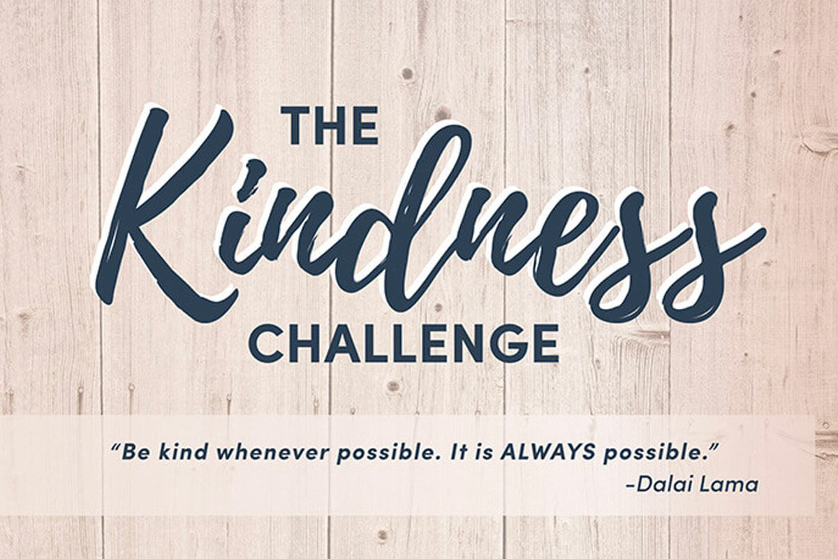 The Kindness Challenge, graphic