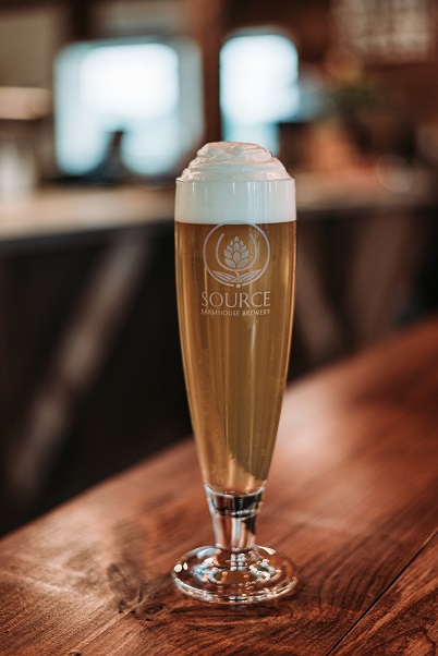 Portrait shot of beer in glass