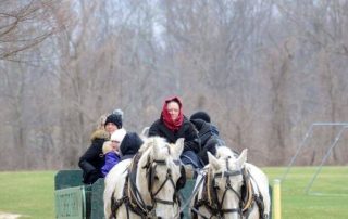 People on a horse-wagon ride through the park