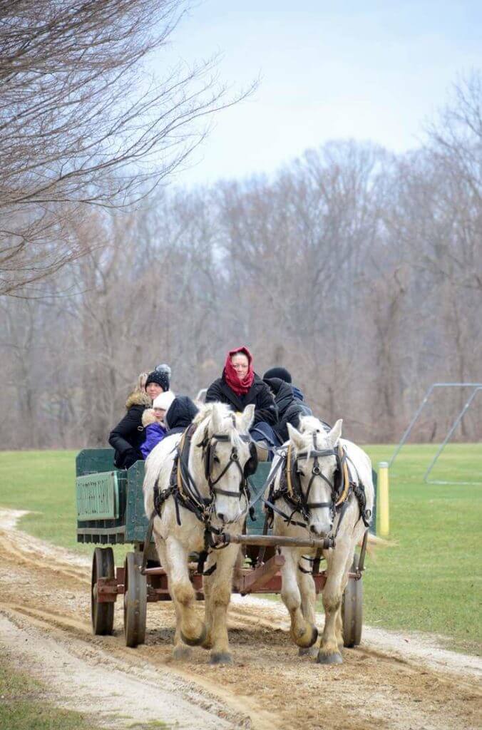 People on a horse-wagon ride through the park