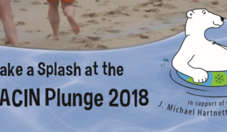 LADACIN Plunge 2018, promotional graphic