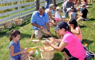 Group collecting corn stalks at Longstreet Farm