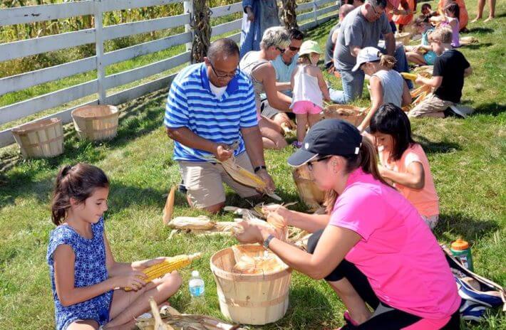 Group collecting corn stalks at Longstreet Farm